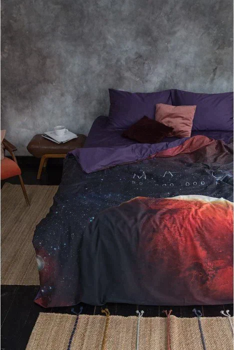Постельное бельё "Этель" 2 сп Red planet 175*215 см, 220*240 см, 50*70 см - 2 шт