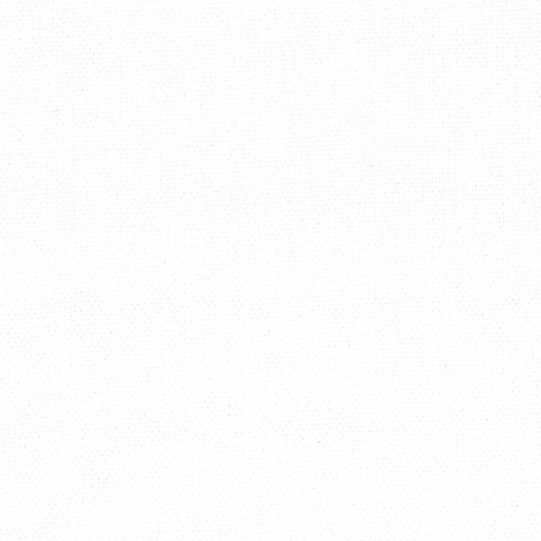 Вельвет Белый 10810