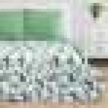 Постельное белье "Этель" Дуэт Еловые ветви 143*215 см - 2 шт, 240*220 см, 70*70 см - 2 шт
