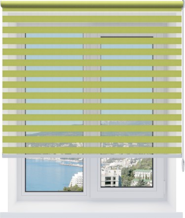 Рулонная штора День-ночь Basic светло-зеленый