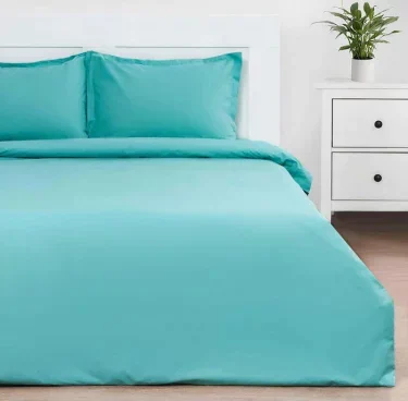 Постельное белье Этель 1,5 сп Mint morning 143*215 см, 150*214 см, 50*70+3-2 шт