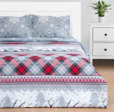 Постельное бельё Этель 1.5сп Snow time 143х215см,150х214см,50х70см-2 шт